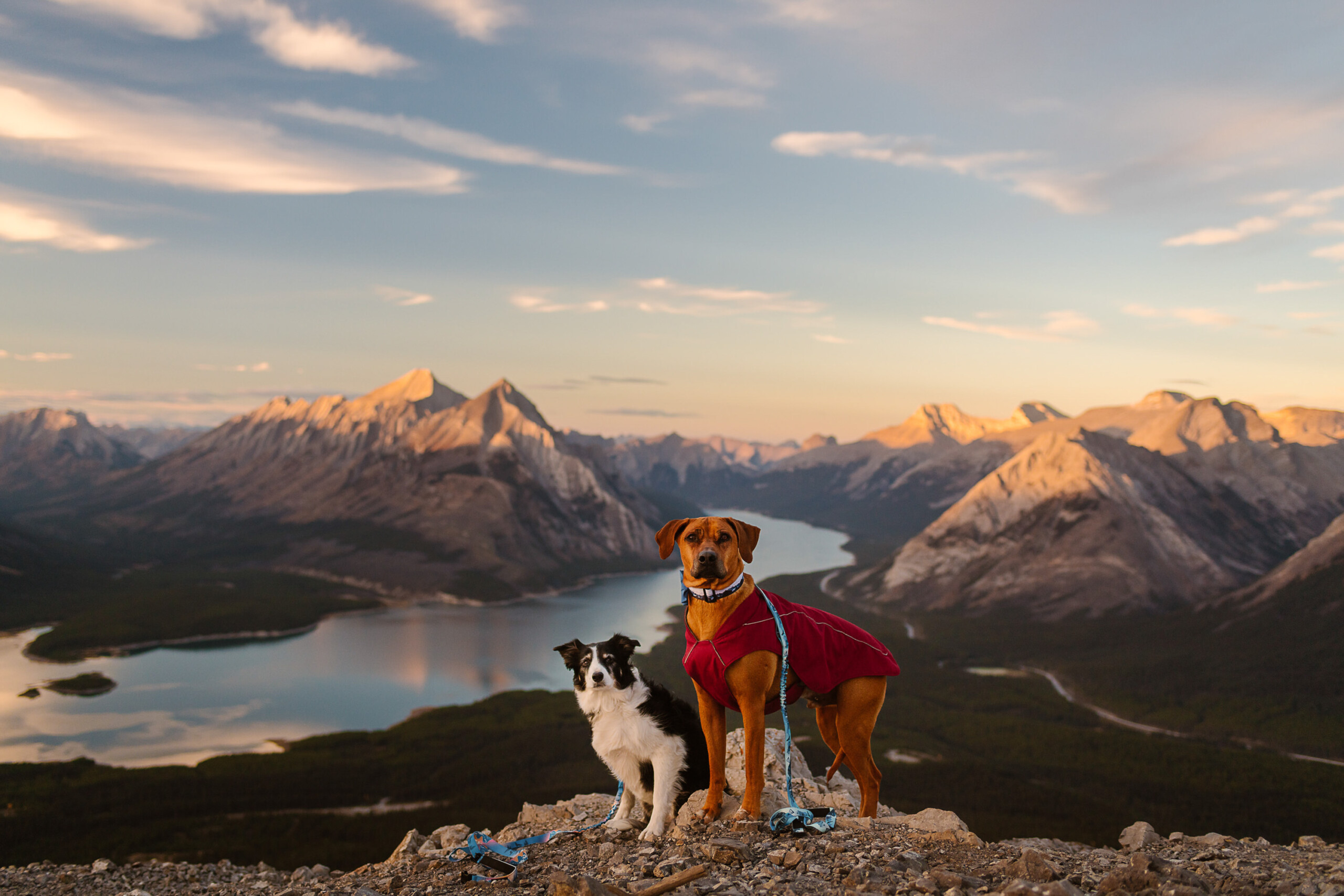 International Wedding Photographer of the Year Awards 2024 Runner Up Celestine Aerden